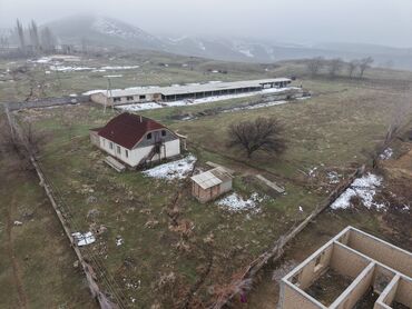 Продажа сельхоз предприятий: Продаю Кошара, 800 соток, Действующий, С оборудованием — 19