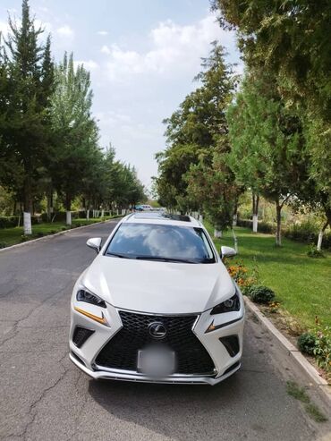 lexus rx машина: Lexus NX: 2020 г., 2 л, Автомат, Бензин, Внедорожник