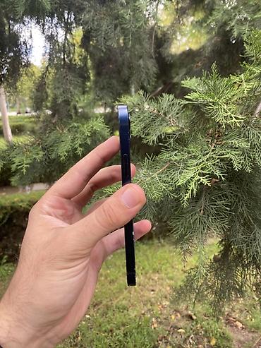 IPhone 12, 128 GB, Mavi, Face ID — 2