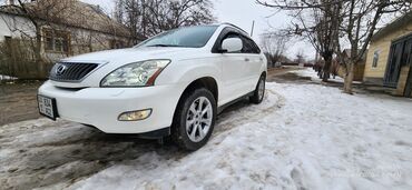 лексус ес 350 бишкек: Lexus RX: 2008 г., 3.5 л, Автомат, Бензин, Кроссовер