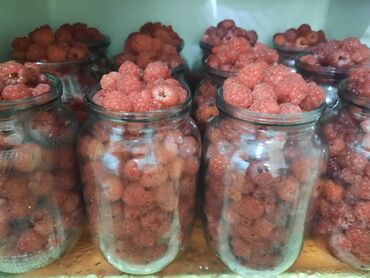 мраморное мясо бишкек цена: Саженцы : Малина, Самовывоз