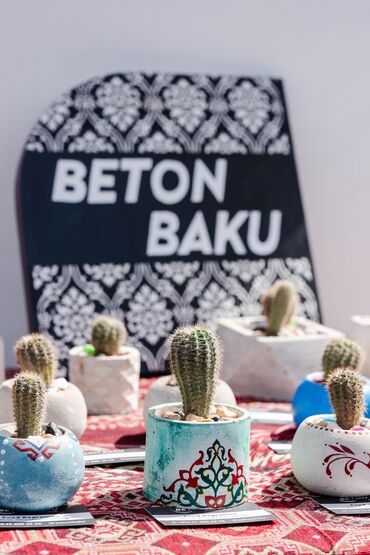 Другие Автомобили: Məhsul: Beton Baku – dekorativ kaktus kompozisiyaları Təsvir: - Əl