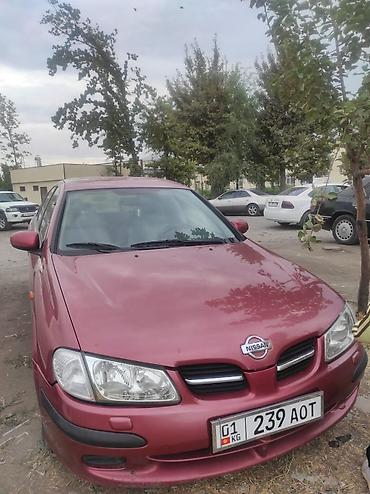 gilera runner: Nissan Almera: 2001 г., 1.5 л, Механика, Седан — 1