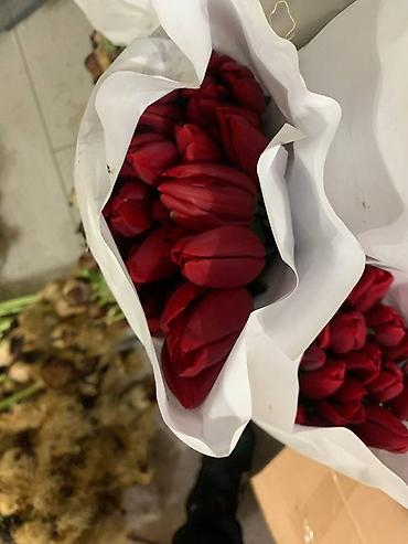 Букеты из живых цветов: В оптомв розницу — 12