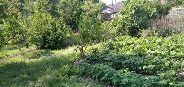 Torpaq sahələrinin satışı: 10 sot, Tikinti, Mülkiyyətçi, Kupça (Çıxarış) — 24