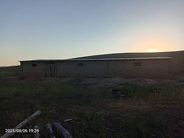 Продажа сельхоз предприятий: Токтогул шаары котормо айылынан айылдын четинен сарай уйу мн сатылат — 5