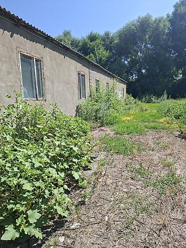 с хранения: Продаётся земельный участок с хозяйственными постройками и навесами — 4