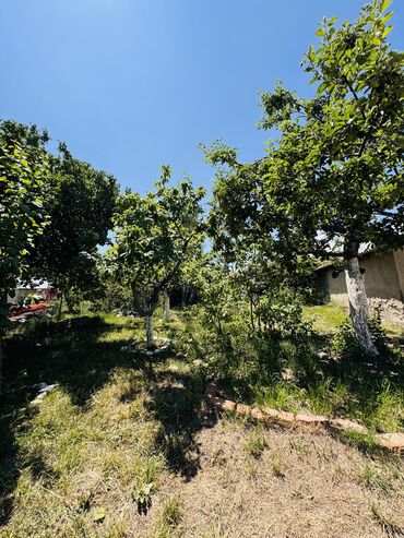 купить дом в киргизии на иссык куле: Дом, 70 м², 3 комнаты, Собственник, Евроремонт