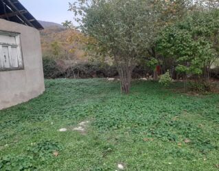 медвежий жир в бишкеке: 10 sot, Tikinti, Mülkiyyətçi, Kupça (Çıxarış)