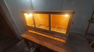 Товары и оборудование для с/х животных: Универсальный Брудер, ясли для цыплят. сураныч, бар же жок экенсин — 2