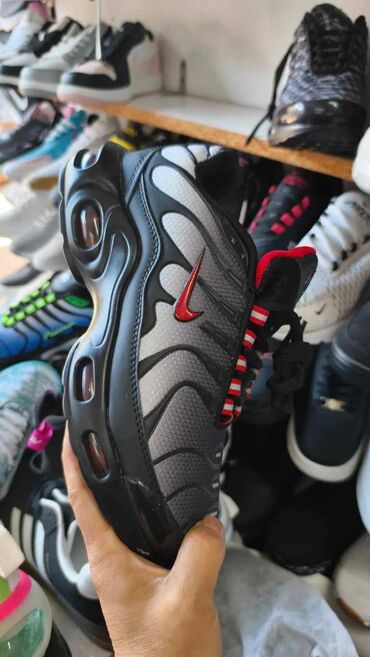 Patike: NIke air max tn patike

Novo
Brojevi 36 do 46

fb Moja Kupovina 1 — 8