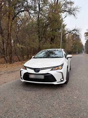 toyota priys: Toyota Corolla: 2021 г., 1.8 л, Вариатор, Гибрид, Седан — 1