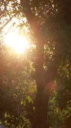 Fotokameralar: Salam. Fotoqraf deyiləm, hobbi üçün alınmış fotoaparatdır. Buna görə — 17