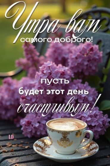 сколько стоит букет из бабочек: Цифровое изображение с тематикой доброго утра. На изображении