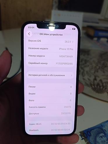 Apple iPhone: IPhone 12 Pro, Б/у, 256 ГБ, Pacific Blue, 100 % — 10