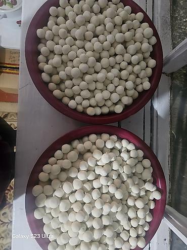 Сухофрукты, орехи, снеки: Накта курут сатылат — 10