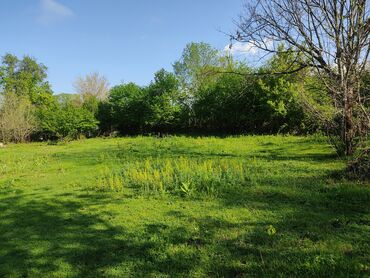 Torpaq sahələrinin satışı: 12 sot, Tikinti, Mülkiyyətçi, Kupça (Çıxarış) — 7