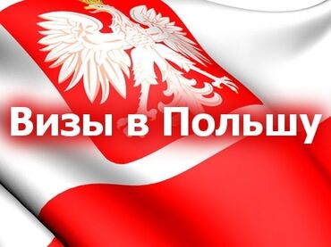 рабочая виза в европу бишкек: Помощь в получении приглашений Запись в консульство за короткие сроки