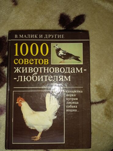 срочно продаю в связи с переездом: Животноводство.Токмок