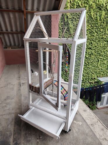 Qəfəslər: Əl işi taxda qəfəs qiyməti 160 azn real alıcılara endirim etmək olar — 8