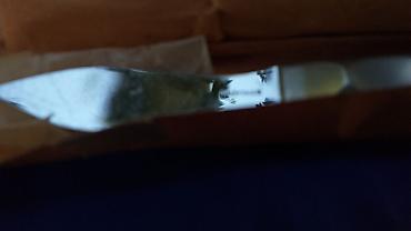 Oprema za kućne ljubimce: HAUPTNER Veterinarski instrumenti Kao sa slika Novi i polovni. Ne — 8