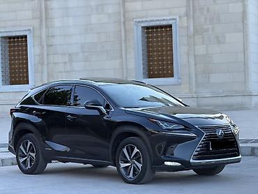 k7 2019: Lexus NX: 2019 г., 2.5 л, Вариатор, Гибрид, Кроссовер — 1