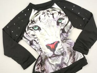 lidl bluzy dresowe damskie: Women`s sweatshirt, size M (EU 38)
