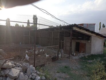 Продажа домов: Дом, 170 м², 6 комнат, Собственник, Косметический ремонт — 27