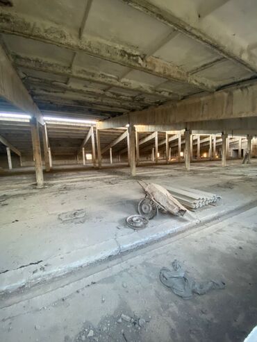 Продажа участков: 100 соток, Красная книга — 9