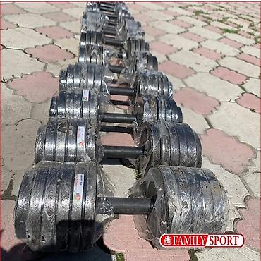 Гантели: Разборные гантели Family Sport 30+30кг - Классическая пара гантелей — 1
