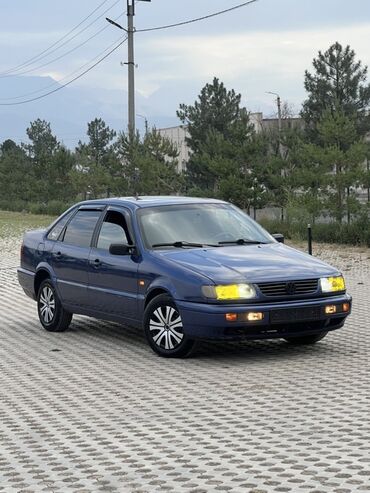 на руках только тех паспорт: Volkswagen Passat: 1994 г., 1.8 л, Механика, Бензин, Седан