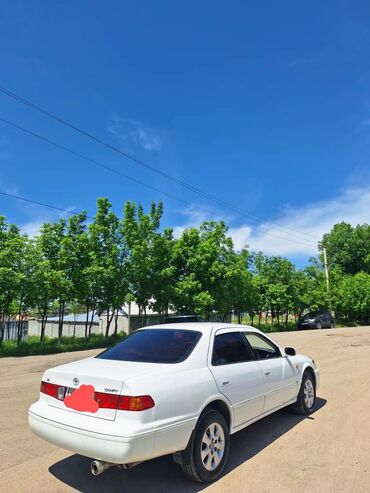 тайота колдина: Toyota Camry: 2001 г., 2.2 л, Автомат, Бензин, Седан