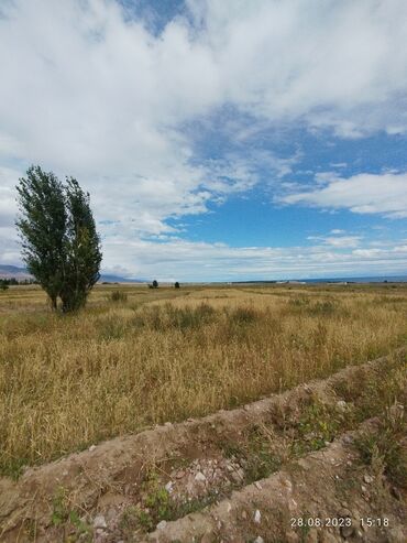 Продажа участков: 66 соток, Для сельского хозяйства, Тех паспорт, Договор купли-продажи, Генеральная доверенность — 3