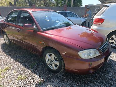 kia карнавал: Kia Spectra: 2006 г., 1.6 л, Механика, Бензин, Седан