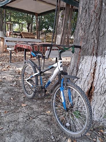 azerbaycan velosiped: Velosiped – START 24-lük normal işdəyir heç bir pirablemi yox du — 1