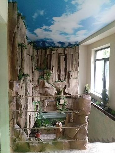 квадрат: 450 м², 6 комнат и более, Золотой квадрат — 10