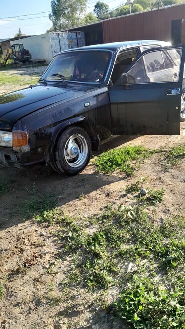 ГАЗ: ГАЗ 31029 Volga: 1994 г., 2.4 л, Механика, Бензин, Седан — 3