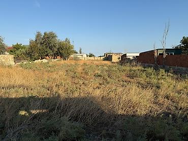 sekide satilan evler 2025: 12 sot, Tikinti, Barter mümkündür, Bələdiyyə — 4
