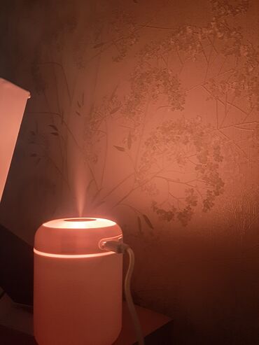 фатзорб оригинал и подделка как отличить: Evlerde ve ya masinlarda qoyub evin havasini deyise bilersiniz.Hem de