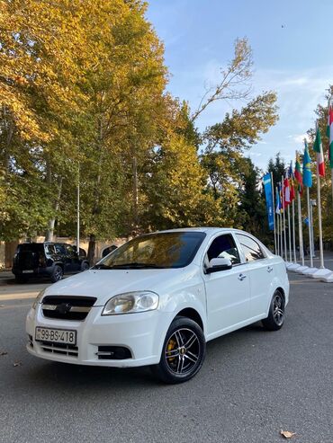 gözəl maşın şəkilləri: Chevrolet Aveo: 1.2 л | 2011 г. 100 км Седан