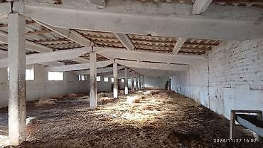 Продажа сельхоз предприятий: Ферма КРС, 25 соток, Действующий, С оборудованием, Электричество — 5