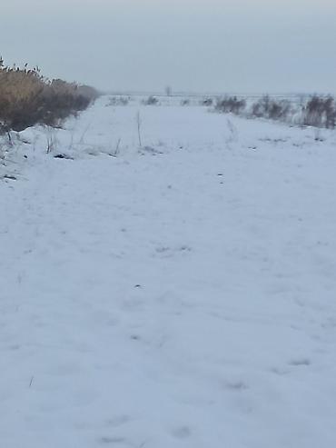 Продажа участков: 20 соток, Для сельского хозяйства, Красная книга, Тех паспорт — 5