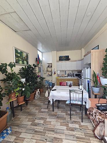 şaganda torpaq: Bakı, Şağan, 66 kv. m, 1 otaqlı, Hovuzsuz, Qaz — 10