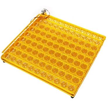 İnkubatorlar: Bütün növ quşlaq üçün — 10