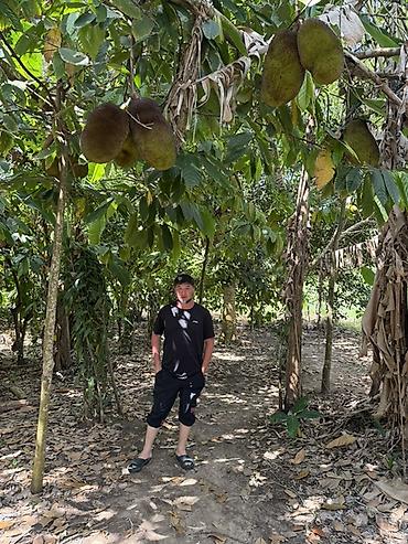 Honda: Honda Stepwgn: 2000 г., 2 л, Автомат, Минивэн — 12