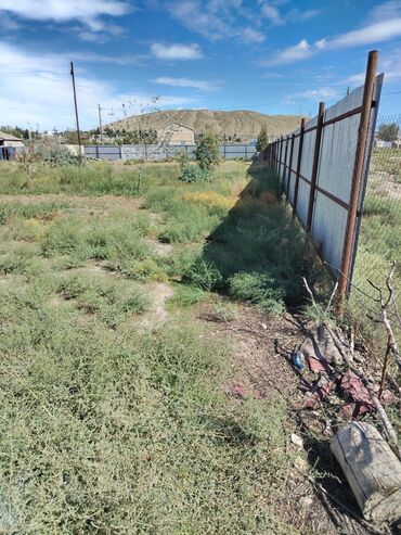 Torpaq sahələrinin satışı: 30 sot, Kənd təsərrüfatı, Mülkiyyətçi, Bələdiyyə — 10