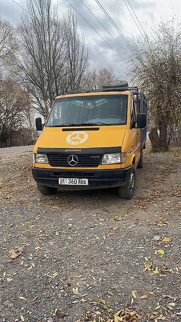 stream 2006: Mercedes-Benz Спринтер: 1999 г., 2.9 л, Механика, Дизель — 1