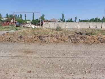 Torpaq sahələrinin satışı: Tikinti, Mülkiyyətçi