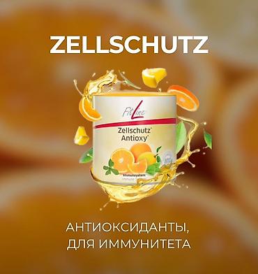 Набор продуктов FitLine для ежедневной поддержки организма at lalafo.kg Набор продуктов FitLine для ежедневной поддержки организма