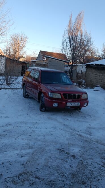 форостер 2000: Subaru Forester: 2000 г., 2 л, Автомат, Бензин